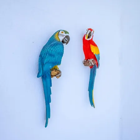 Cadizz - Atico Del Buho Surenyo - Terraza 100m2 Privada *