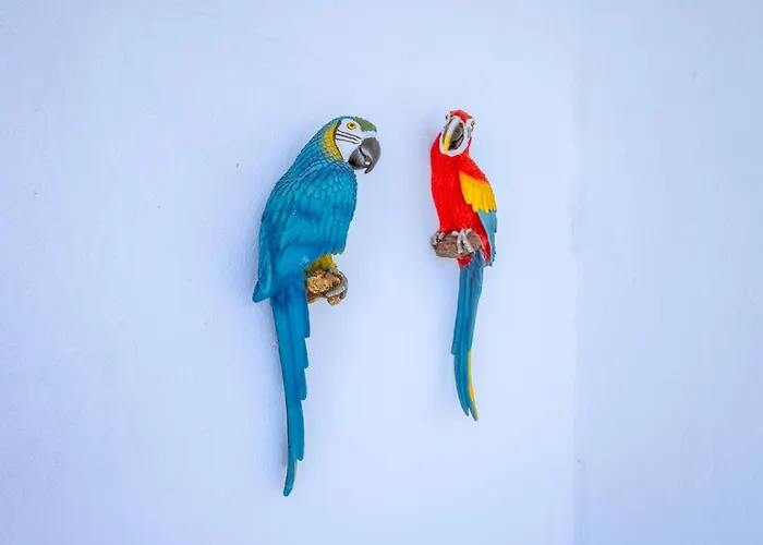 Cadizz - Atico Del Buho Surenyo - Terraza 100m2 Privada *