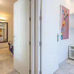 Cadizz - Atico Del Buho Surenyo - Terraza 100m2 Privada Кадис